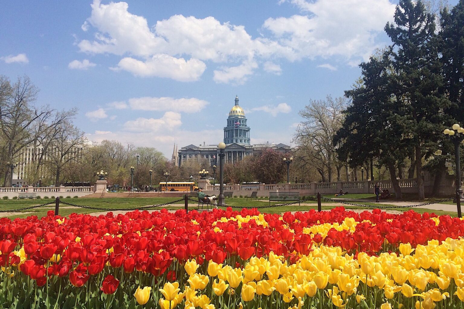 Colorful blooming flowers in front of a government building